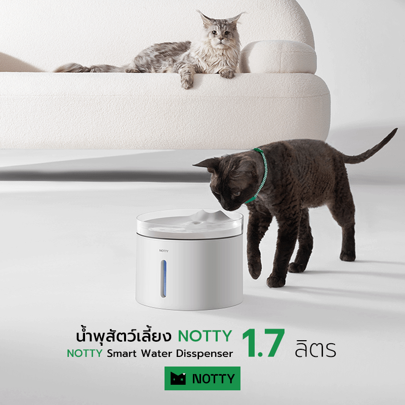 น้ำพุสัตว์เลี้ยง NOTTY